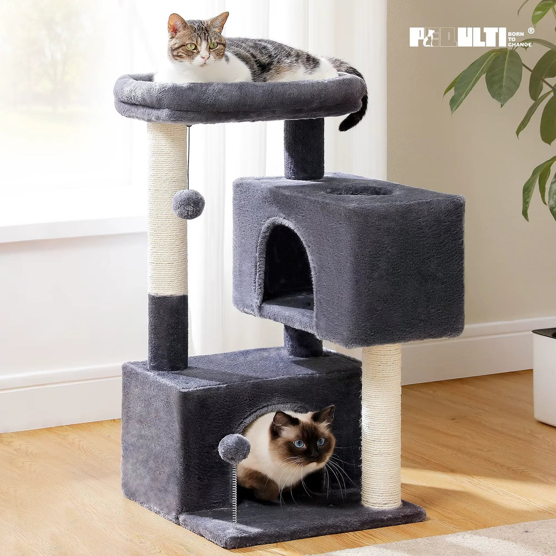 Cat Supplies