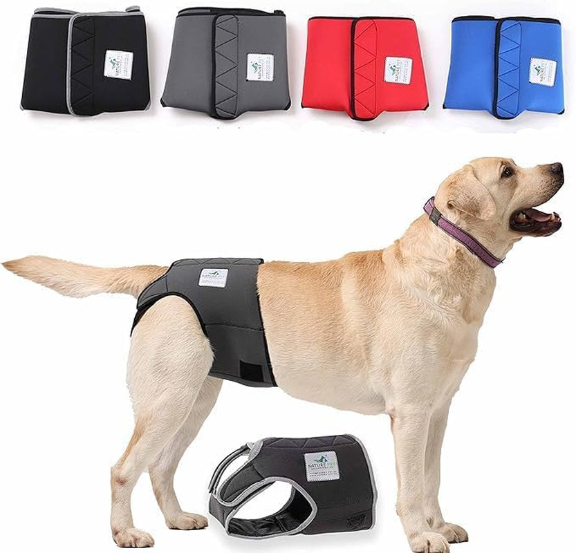 Dog in Season/Dog Heat Nappy Pants/Dog Incontinence Pants/Dog Protective Pants/Dog Diaper (S)