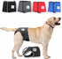 Dog in Season/Dog Heat Nappy Pants/Dog Incontinence Pants/Dog Protective Pants/Dog Diaper (S)