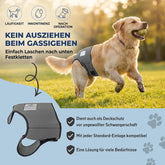 Dog in Season/Dog Heat Nappy Pants/Dog Incontinence Pants/Dog Protective Pants/Dog Diaper (S)