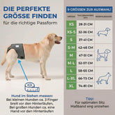 Dog in Season/Dog Heat Nappy Pants/Dog Incontinence Pants/Dog Protective Pants/Dog Diaper (S)