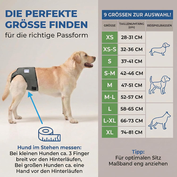 Dog in Season/Dog Heat Nappy Pants/Dog Incontinence Pants/Dog Protective Pants/Dog Diaper (S)
