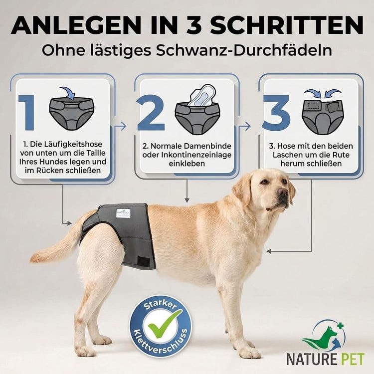Dog in Season/Dog Heat Nappy Pants/Dog Incontinence Pants/Dog Protective Pants/Dog Diaper (S)