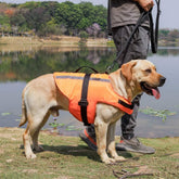 Dog Life Preserver Dog Life Jacket Dog Life Vest Dog Floatation Swimming Vest (Orange 2021, Large)