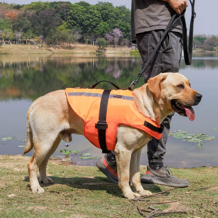 Dog Life Preserver Dog Life Jacket Dog Life Vest Dog Floatation Swimming Vest (Orange 2021, Large)