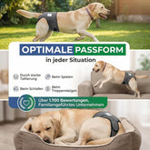 Dog in Season/Dog Heat Nappy Pants/Dog Incontinence Pants/Dog Protective Pants/Dog Diaper (S)